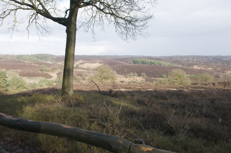 posbank_059.jpg