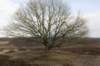 posbank_061_small.jpg
