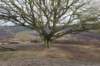 posbank_062_small.jpg