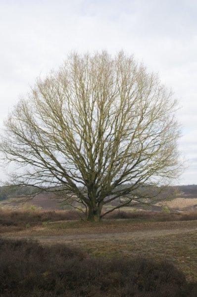 posbank_063.jpg