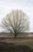 posbank_063_small.jpg