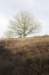 posbank_065_small.jpg