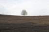 posbank_070_small.jpg