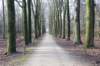 posbank_071_small.jpg