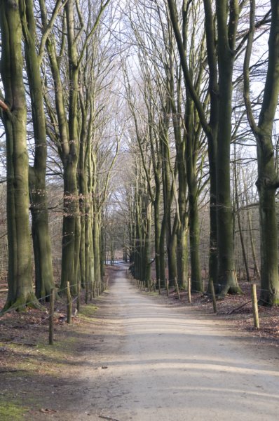 posbank_074.jpg