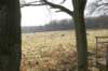 posbank_080_small.jpg