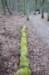 posbank_085_small.jpg