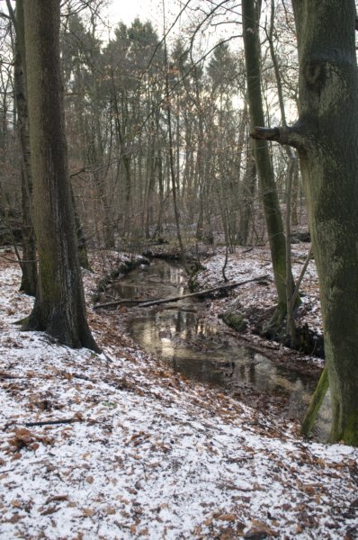 posbank_089.jpg