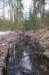 posbank_091_small.jpg
