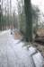 posbank_103_small.jpg