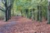 rhenen_007_small.jpg
