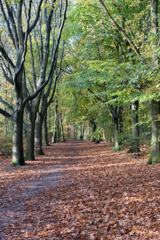 rhenen_008.jpg