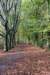 rhenen_008_small.jpg
