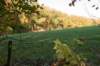 rhenen_009_small.jpg