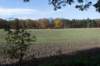 rhenen_010_small.jpg