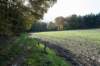 rhenen_011_small.jpg