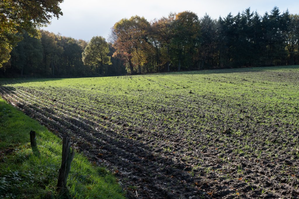 rhenen_012.jpg