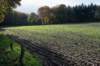 rhenen_012_small.jpg