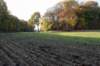 rhenen_013_small.jpg