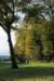 rhenen_015_small.jpg
