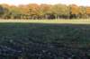 rhenen_016_small.jpg