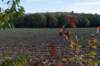 rhenen_018_small.jpg