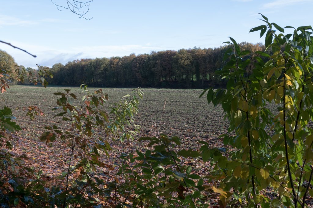 rhenen_019.jpg