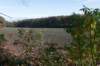 rhenen_019_small.jpg