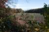 rhenen_020_small.jpg