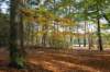 rhenen_022_small.jpg