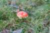 rhenen_024_small.jpg