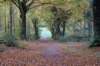 rhenen_026_small.jpg