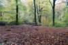 rhenen_027_small.jpg