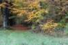rhenen_028_small.jpg
