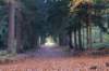 rhenen_030_small.jpg