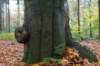 rhenen_031_small.jpg