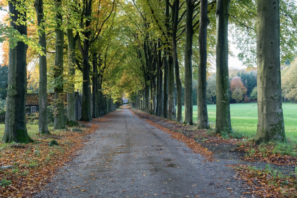rhenen_033.jpg