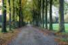 rhenen_033_small.jpg