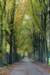 rhenen_034_small.jpg