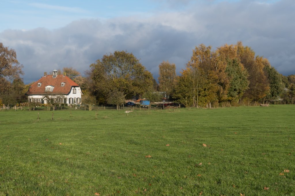 rhenen_036.jpg