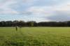 rhenen_038_small.jpg