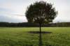 rhenen_039_small.jpg