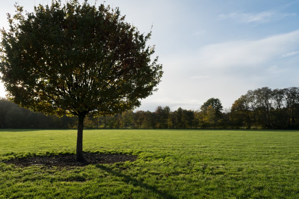 rhenen_040.jpg