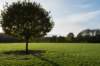 rhenen_040_small.jpg