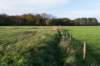 rhenen_041_small.jpg