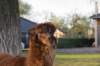 rhenen_042_small.jpg