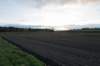 rhenen_043_small.jpg