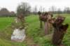 lunetten_005_small.jpg