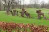 lunetten_006_small.jpg