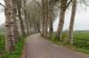 lunetten_007_small.jpg